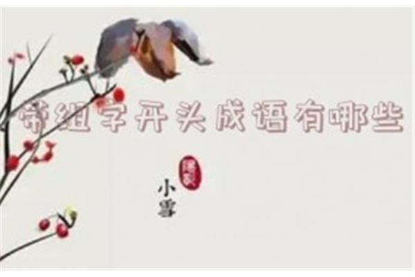 当开头的成语