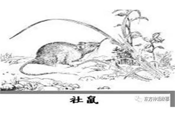 谢开头的成语