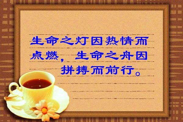 关于拼搏的名言