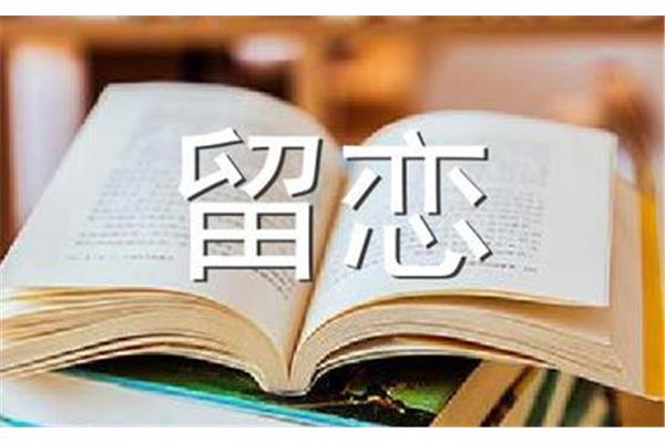 不但而且怎么造句