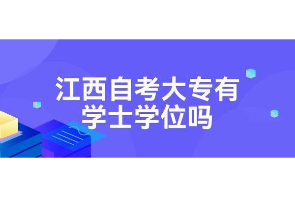 学士专业学位