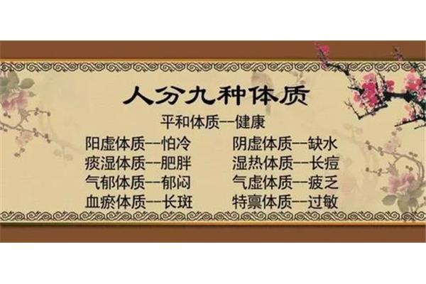 九种体质养生