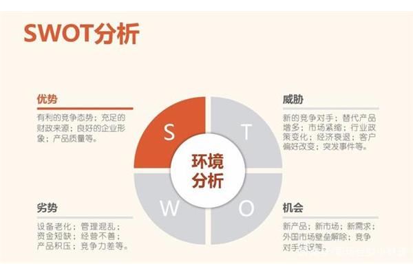 个人swot分析