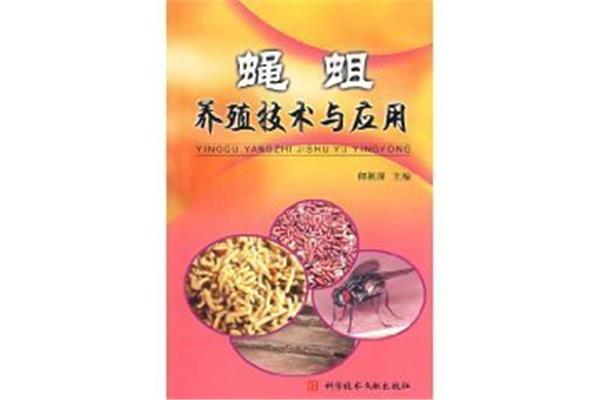 蝇蛆养殖技术