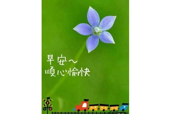 健康早安问候语