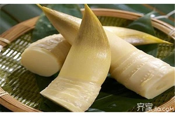 笋的营养价值
