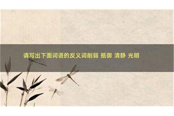 削弱的反义词