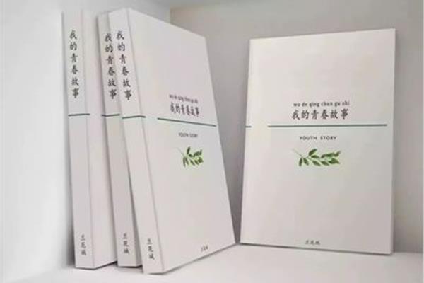 我的青春故事