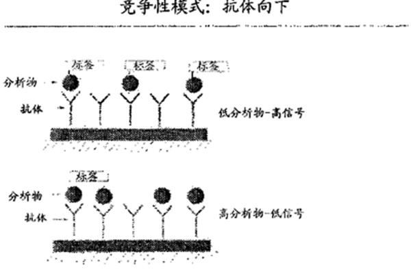 半抗原是指