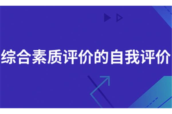 综合素质评价网址
