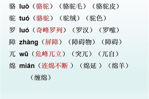 毛的组词是什么