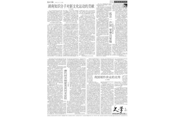 新文化运动性质