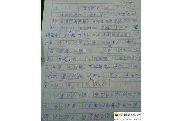 玩游戏的作文