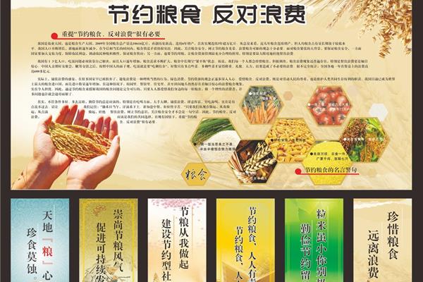 节约粮食的方法