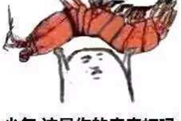 皮皮虾表情包