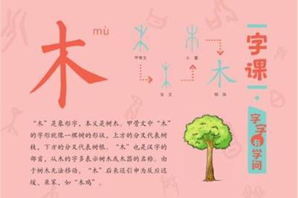 一个汉字的故事