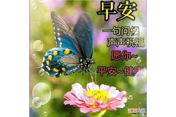 祝福新人的诗句