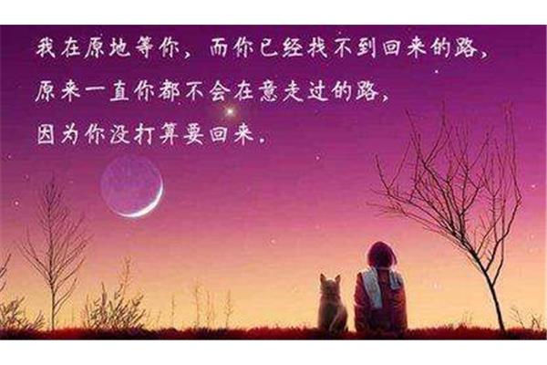 爱一个人的理由