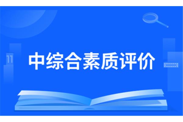 综合素质评价网址