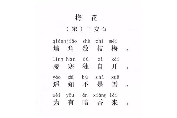 古诗梅花王安石