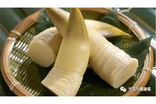 笋的营养价值