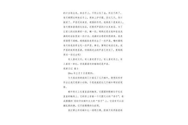 路上观察研究日志