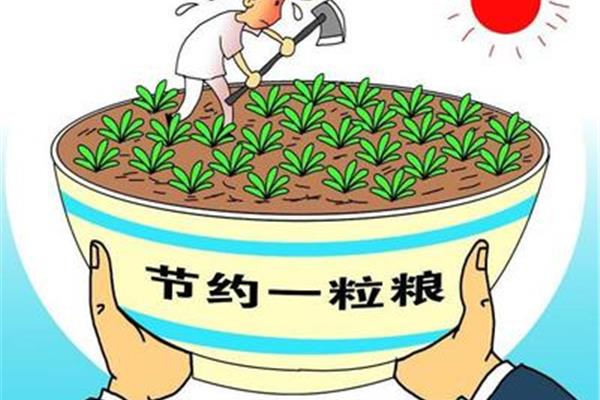 节约粮食的方法