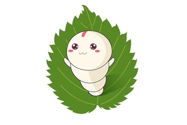 蚕宝宝图片