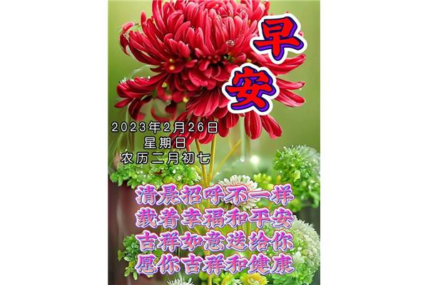 健康早安问候语