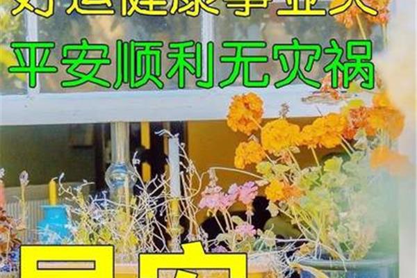 健康早安问候语