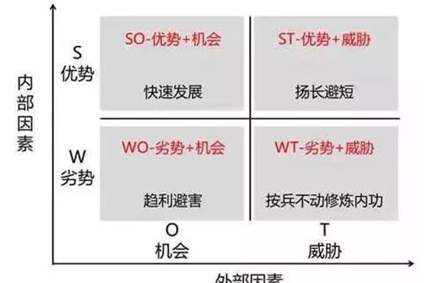 个人swot分析