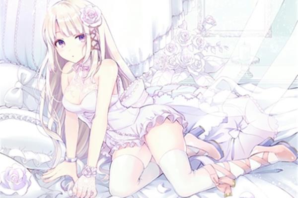 二次元与三次元