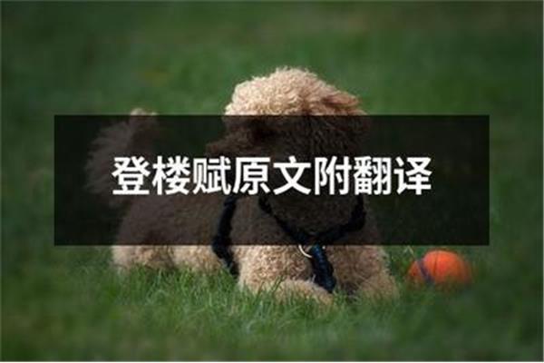 登楼赋原文及翻译