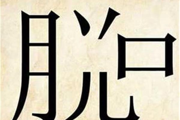 7个字的成语大全
