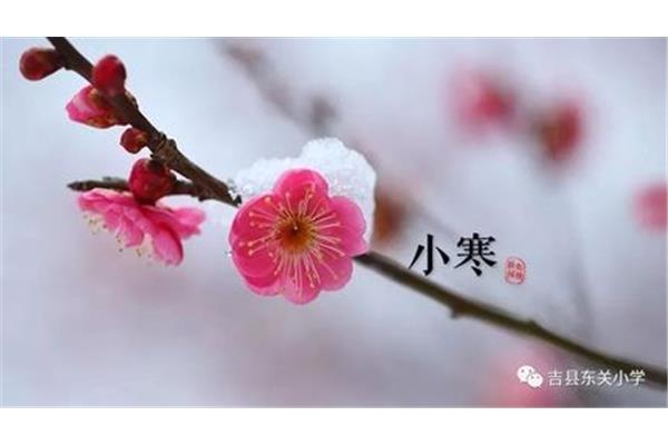 关于大寒的古诗