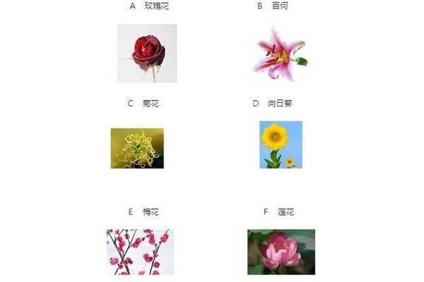 趣味心理测试