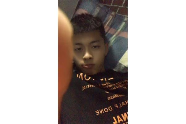 不的笔顺怎么写
