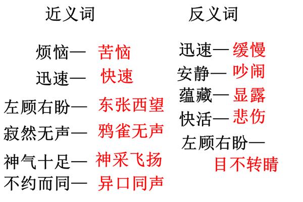 可贵的近义词