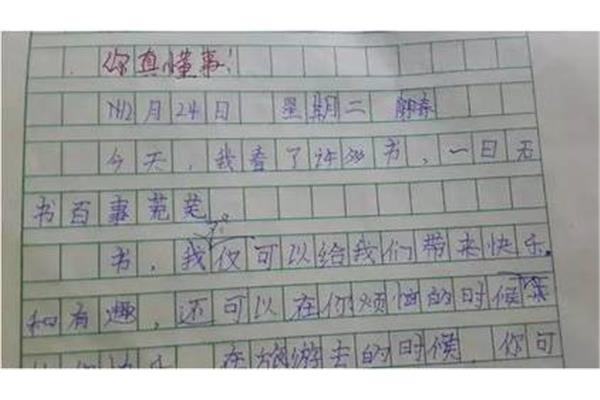 写书的作文