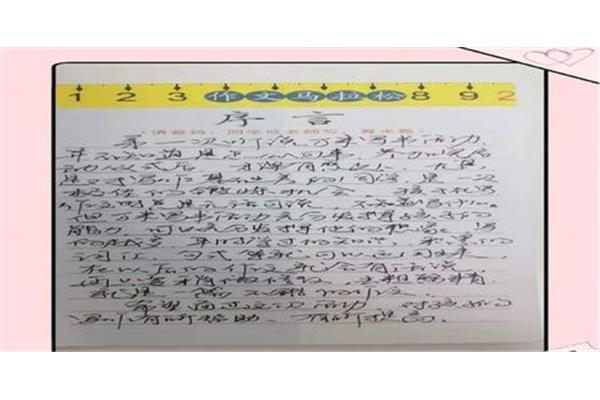 写书的作文