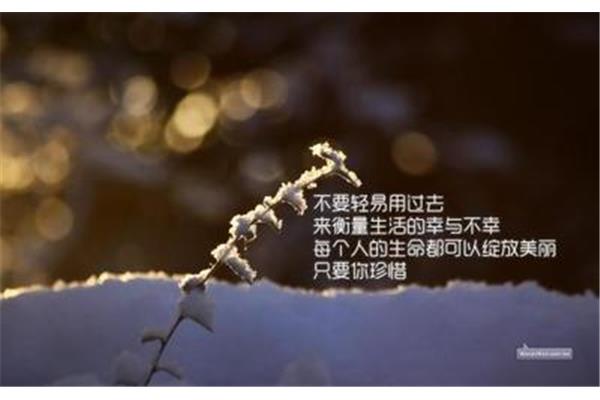 感恩励志语句