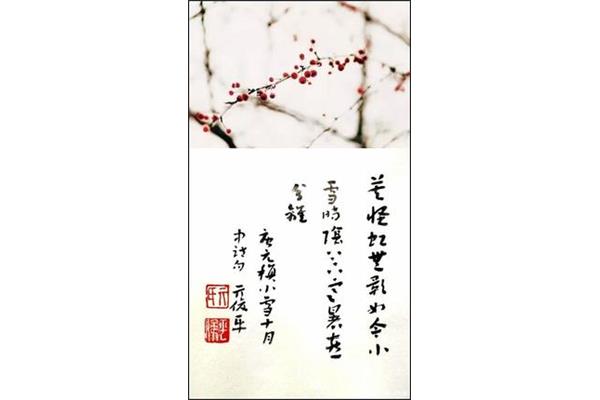 关于大寒的古诗