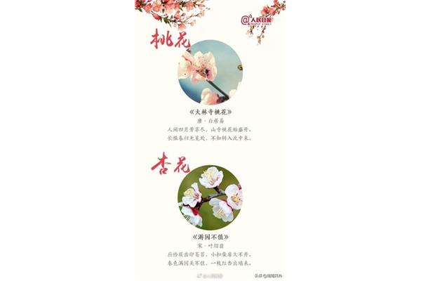 赞美花的诗