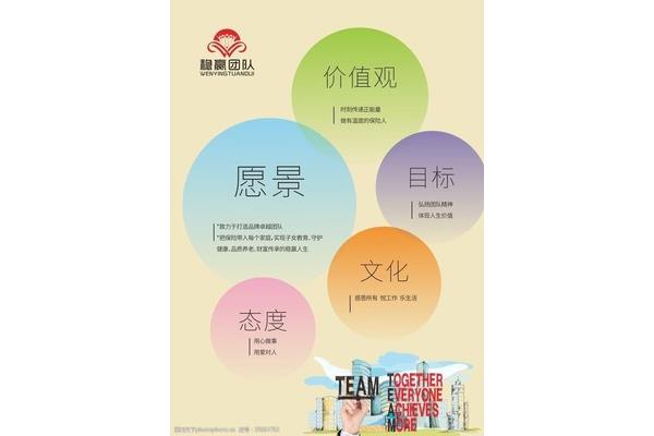 企业愿景范文简短