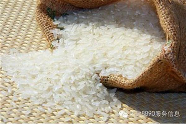 大米生虫子怎么办