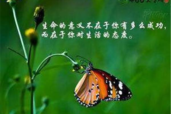 生命的真谛是什么