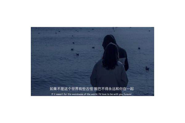 永远和你在一起