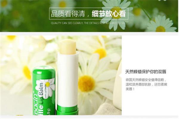 请示的范文