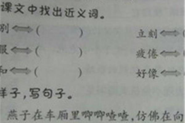 窥探近义词