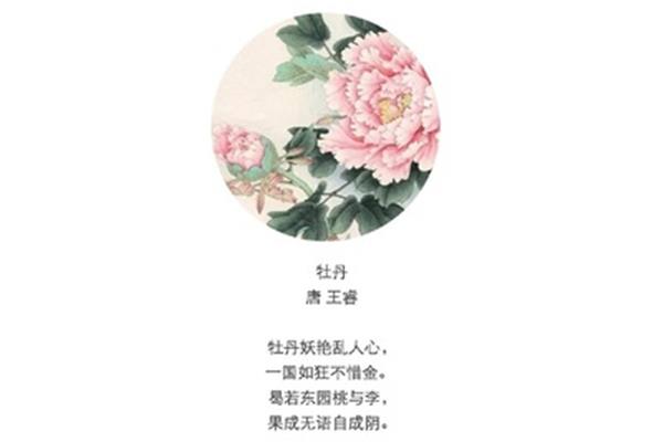 赞美花的诗